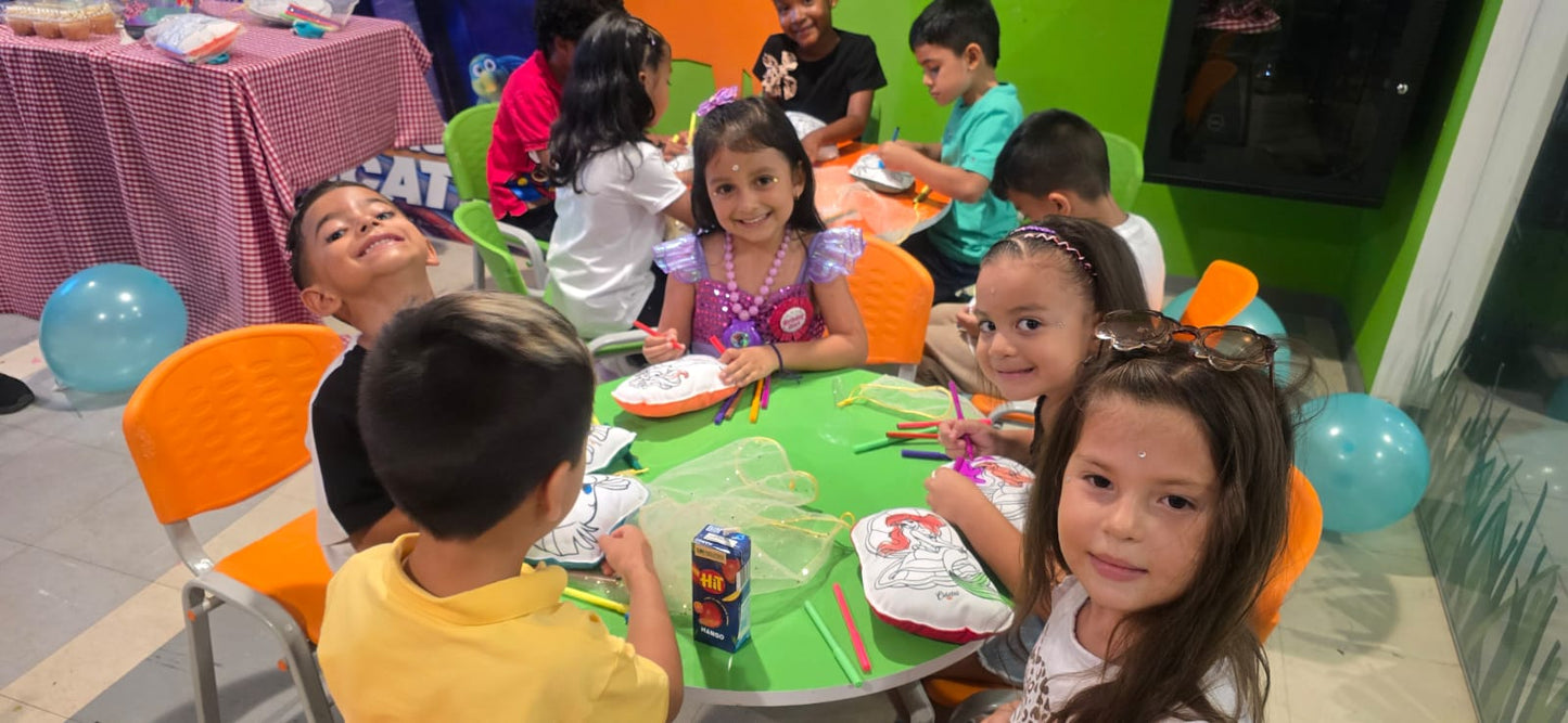 Kit cojin para pintar + 4 plumones + bolsita tull dorada + tarjetica para marcar